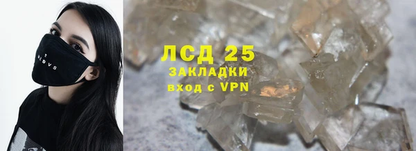 крисы Осинники