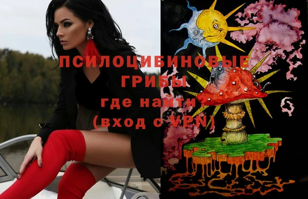гидра Ветлуга