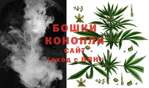 крисы Осинники