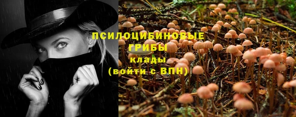 сатива Остров