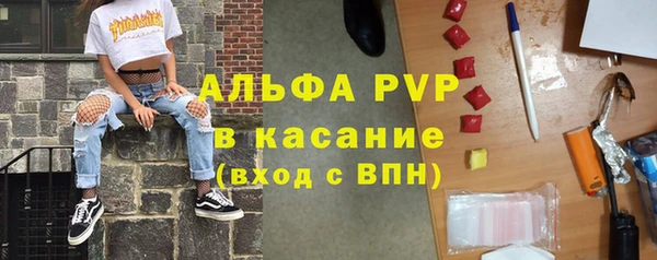 крисы Осинники