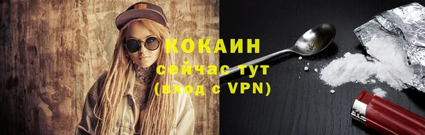 крисы Осинники