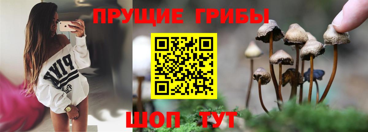 Нижневартовск  Псилоцибиновые грибы мухоморы  Вход с VPN 